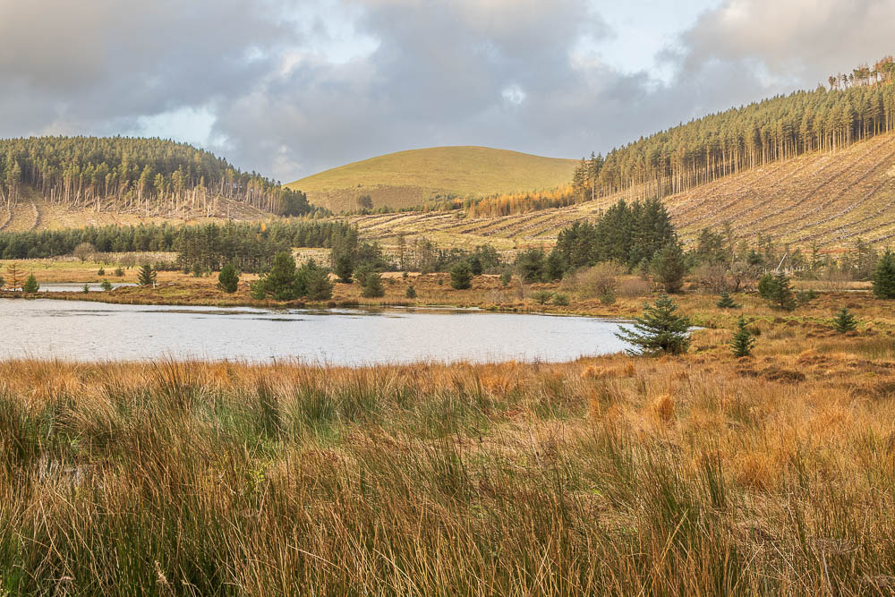 Owsen Fell Owsen Fell